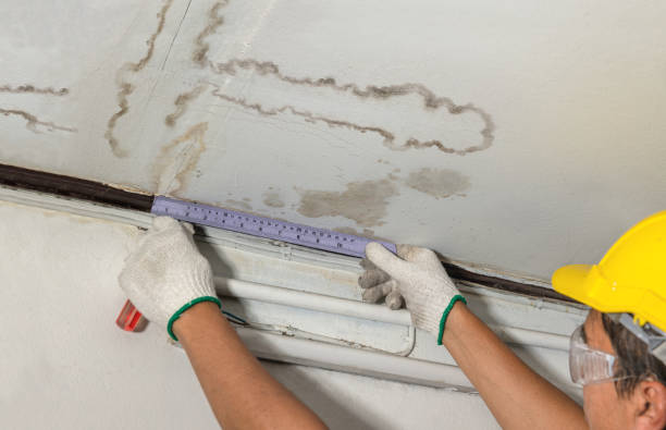 Reliable Structural Drying contractor in Greenville, MI by Water Damage Irwin